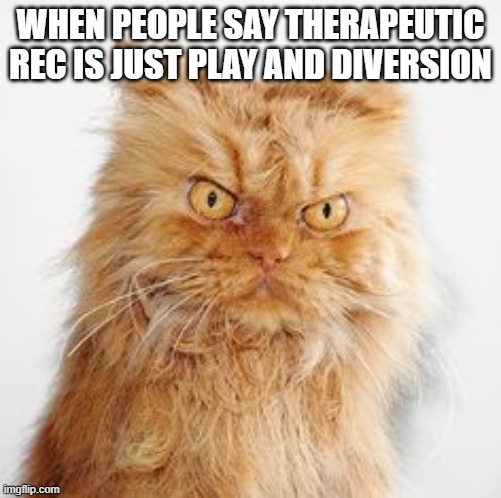 Dirty look | WHEN PEOPLE SAY THERAPEUTIC REC IS JUST PLAY AND DIVERSION | image tagged in dirty look | made w/ Imgflip meme maker