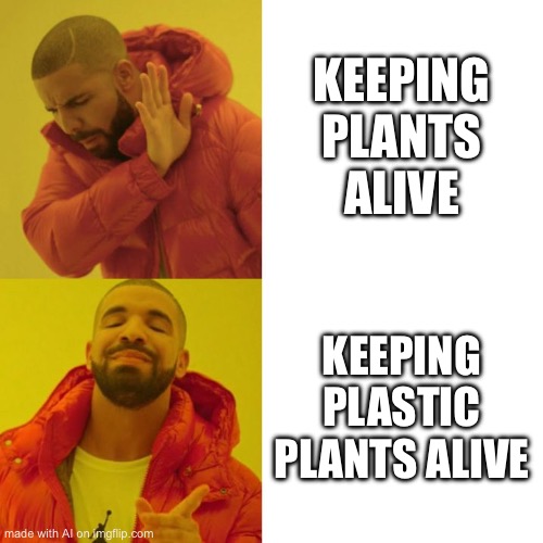 Drake Blank | KEEPING PLANTS ALIVE; KEEPING PLASTIC PLANTS ALIVE | image tagged in drake blank | made w/ Imgflip meme maker