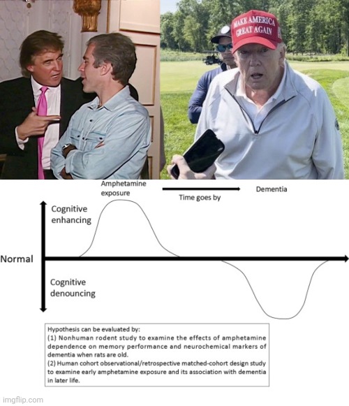 image tagged in trump epstein,dementia donnie,one does not simply do drugs | made w/ Imgflip meme maker