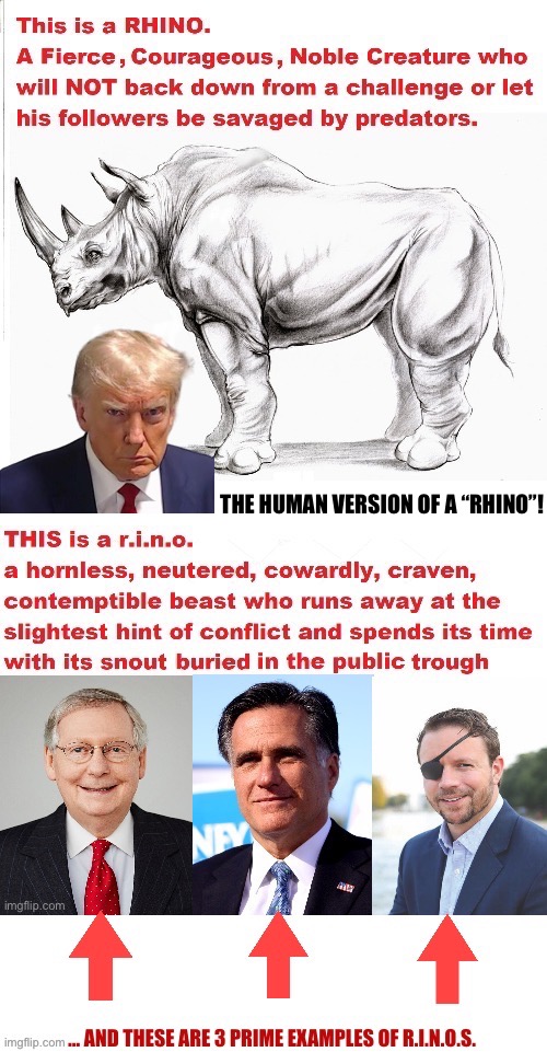 THE HUMAN VERSION OF A “RHINO”! | made w/ Imgflip meme maker