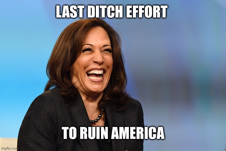 Kamala Harris laughing | LAST DITCH EFFORT TO RUIN AMERICA | image tagged in kamala harris laughing | made w/ Imgflip meme maker