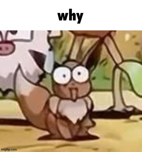 Stunned Eevee | why | image tagged in stunned eevee | made w/ Imgflip meme maker