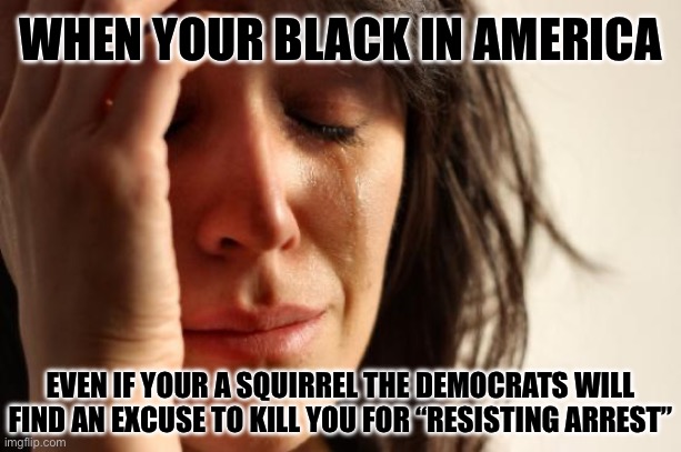 First World Problems Meme | WHEN YOUR BLACK IN AMERICA EVEN IF YOUR A SQUIRREL THE DEMOCRATS WILL FIND AN EXCUSE TO KILL YOU FOR “RESISTING ARREST” | image tagged in memes,first world problems | made w/ Imgflip meme maker