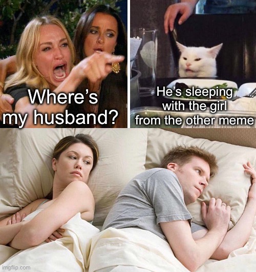 Meme affair | He’s sleeping with the girl from the other meme; Where’s my husband? | image tagged in smudge the cat,memes,i bet he's thinking about other women,affair,husband wife | made w/ Imgflip meme maker