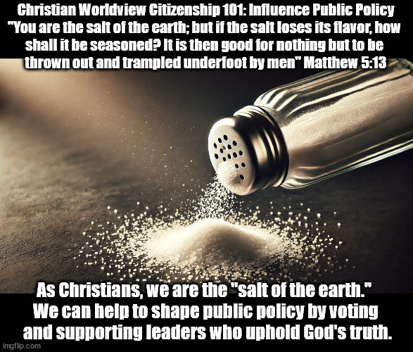 Influence Public Policy | Christian Worldview Citizenship 101: Influence Public Policy
"You are the salt of the earth; but if the salt loses its flavor, how 
shall it be seasoned? It is then good for nothing but to be 
thrown out and trampled underfoot by men" Matthew 5:13; As Christians, we are the "salt of the earth." 
We can help to shape public policy by voting
 and supporting leaders who uphold God's truth. | image tagged in salt,christians christianity,government,god religion universe | made w/ Imgflip meme maker