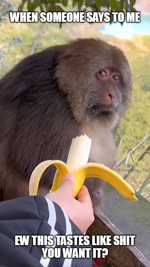 monkey no want your bitten banana dude | WHEN SOMEONE SAYS TO ME; EW THIS TASTES LIKE SHIT
YOU WANT IT? | image tagged in monkey banana side eye,bad,taste,food,funny | made w/ Imgflip meme maker