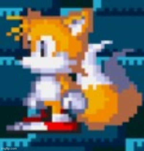 tails | image tagged in tails | made w/ Imgflip meme maker