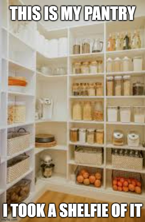 memes by Brad - I took a "shelfie" of my pantry | THIS IS MY PANTRY; I TOOK A SHELFIE OF IT | image tagged in fun,funny,selfie,picture,play on words,humor | made w/ Imgflip meme maker