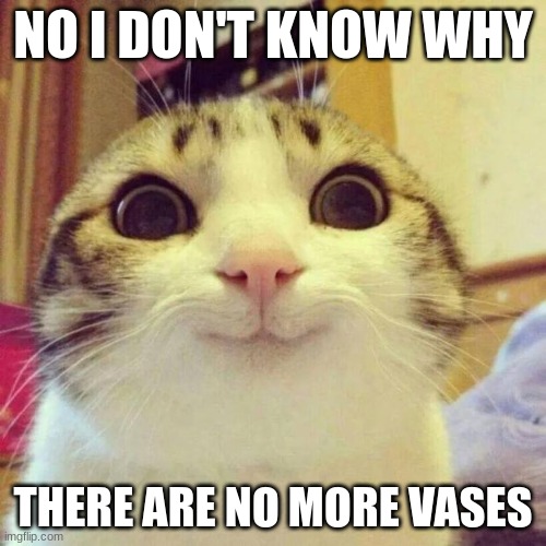 Smiling Cat Meme | NO I DON'T KNOW WHY; THERE ARE NO MORE VASES | image tagged in memes,smiling cat | made w/ Imgflip meme maker