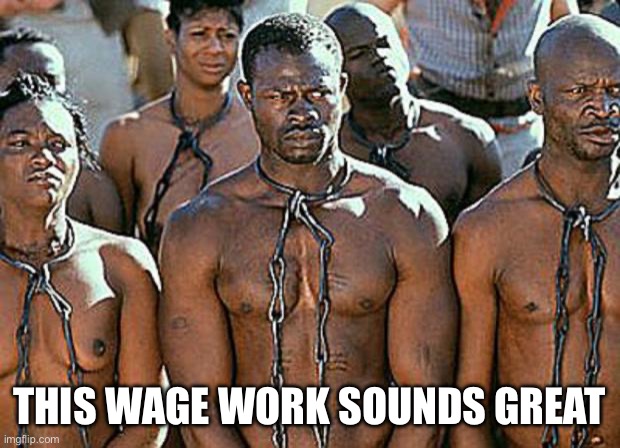 slavery | THIS WAGE WORK SOUNDS GREAT | image tagged in slavery | made w/ Imgflip meme maker