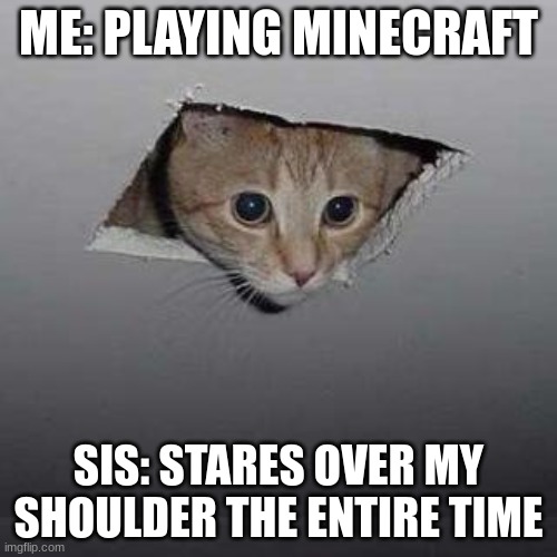 Annoying!!!!!!!! | ME: PLAYING MINECRAFT; SIS: STARES OVER MY SHOULDER THE ENTIRE TIME | image tagged in memes,ceiling cat | made w/ Imgflip meme maker