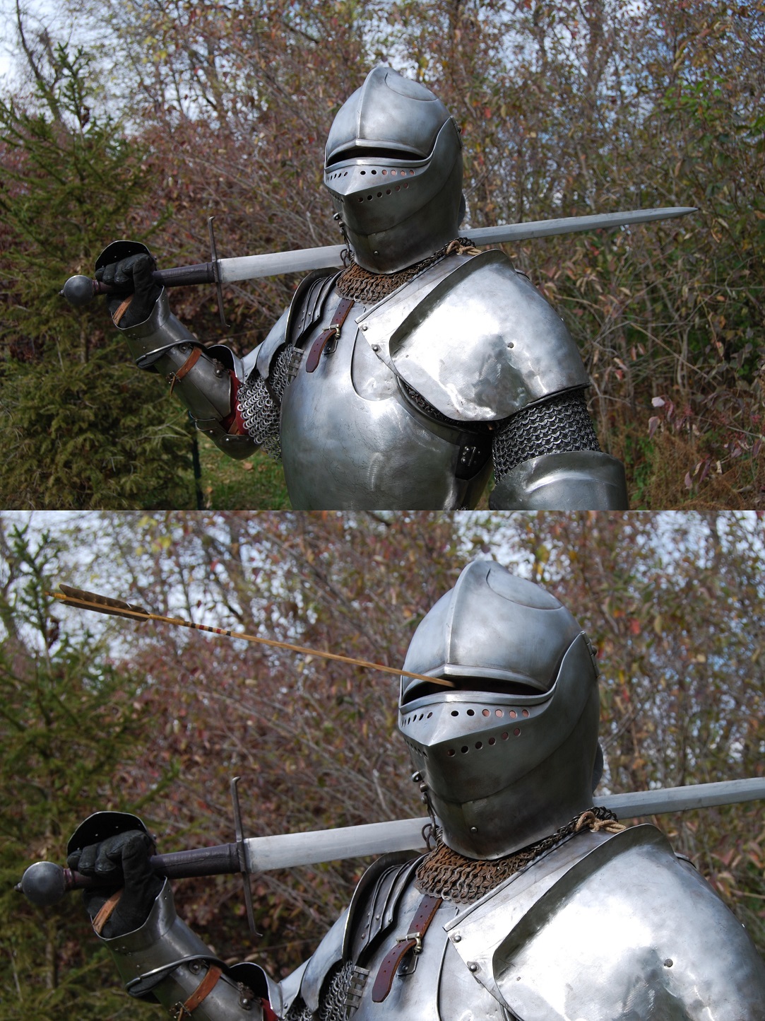 Knight with arrow Blank Meme Template