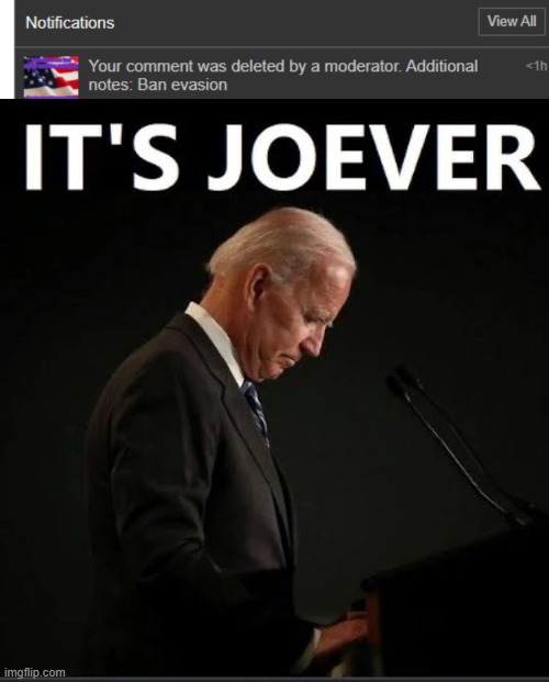 guess what dumbass got banned? | image tagged in it's joever | made w/ Imgflip meme maker