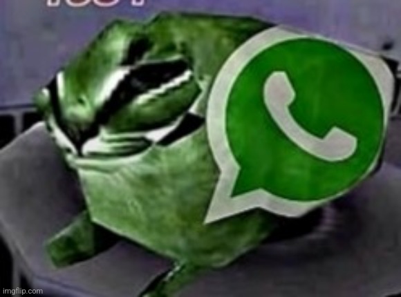 whatsapp | image tagged in whatsapp | made w/ Imgflip meme maker