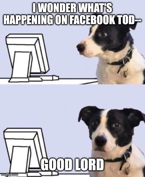 good lord dog | I WONDER WHAT'S HAPPENING ON FACEBOOK TOD--; GOOD LORD | image tagged in good lord dog | made w/ Imgflip meme maker