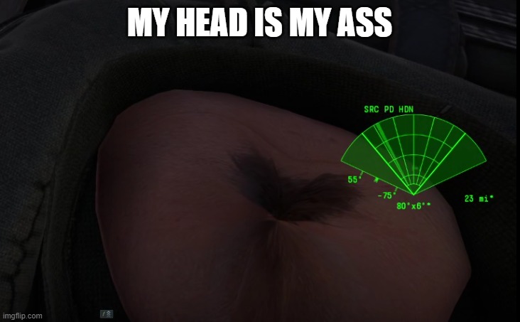 ass head | MY HEAD IS MY ASS | image tagged in my head is my ass | made w/ Imgflip meme maker