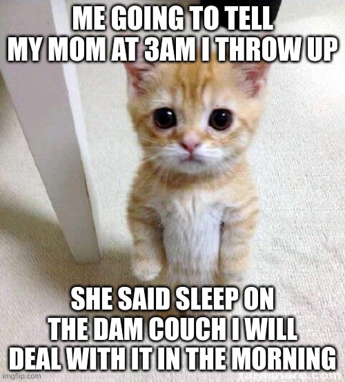 Relatble | ME GOING TO TELL MY MOM AT 3AM I THROW UP; SHE SAID SLEEP ON THE DAM COUCH I WILL DEAL WITH IT IN THE MORNING | image tagged in memes,cute cat | made w/ Imgflip meme maker