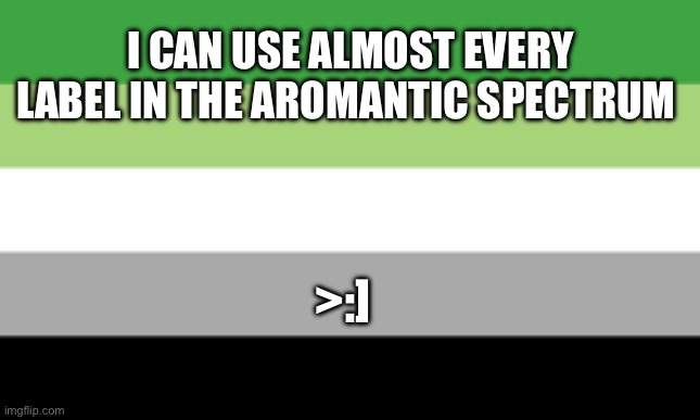 I am very aro | I CAN USE ALMOST EVERY LABEL IN THE AROMANTIC SPECTRUM; >:] | image tagged in lgbtq | made w/ Imgflip meme maker