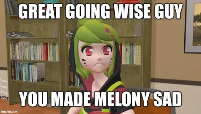 sad melony | image tagged in sad melony | made w/ Imgflip meme maker