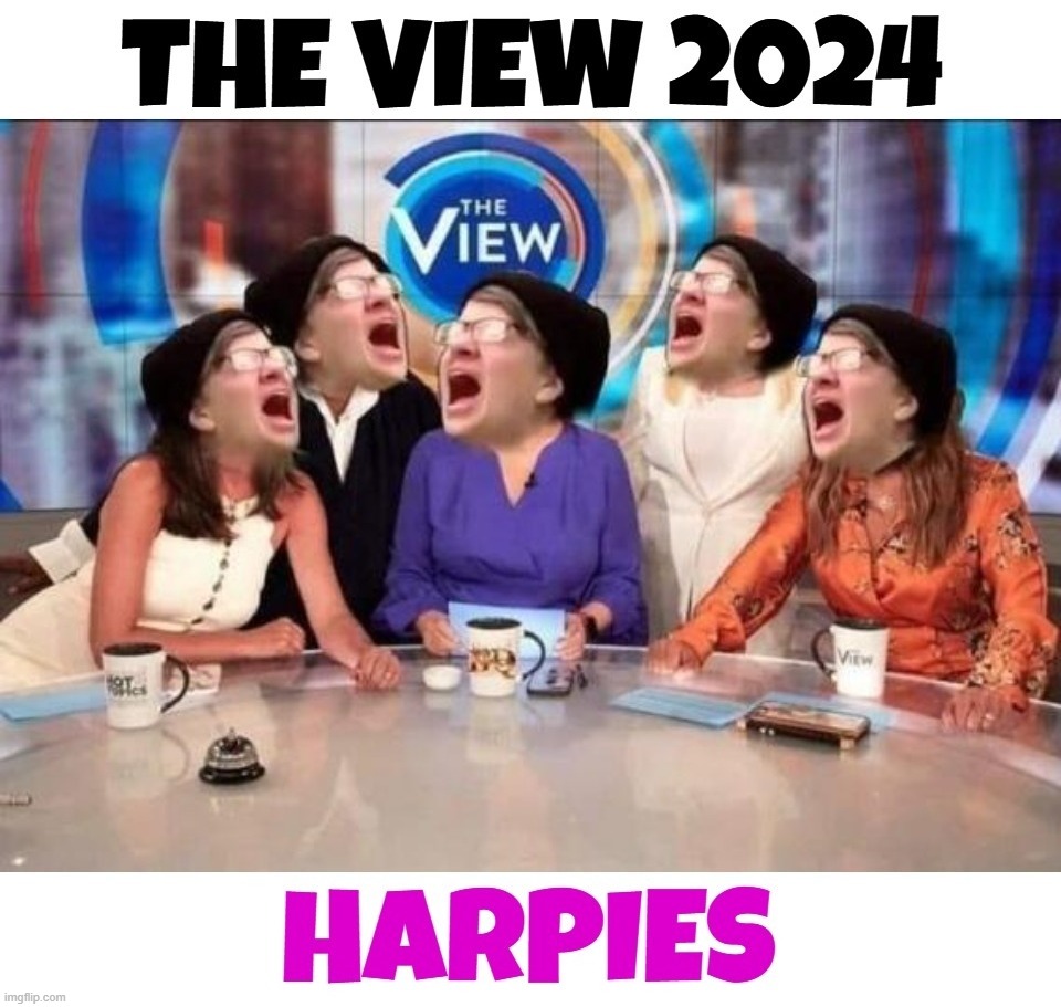 The View 2024 | image tagged in the view,sjw triggered,super triggered,triggered feminist,triggered liberal,stupid people be like | made w/ Imgflip meme maker