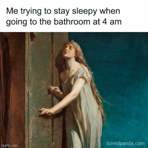 just don't be wide awake when I'm done pleeeeeaase | image tagged in funny,memes,relatable,night | made w/ Imgflip meme maker