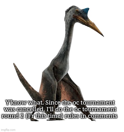 Aight | Y'know what. Since the oc tournament was cancelled, I'll do the oc tournament round 2 {Fr this time} rules in comments | image tagged in quetzalcoatlus | made w/ Imgflip meme maker