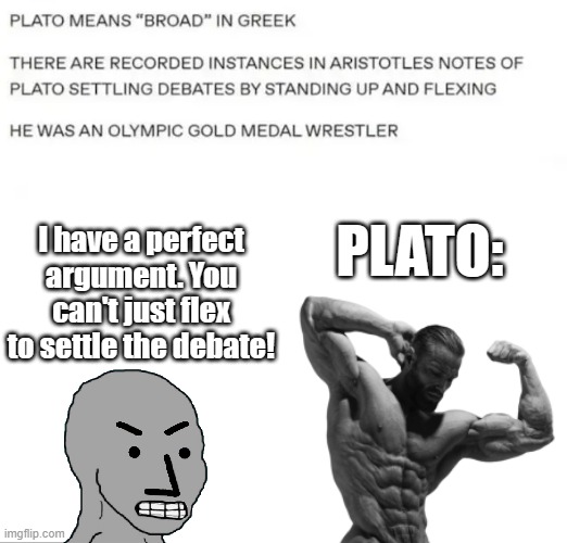 Plato the flexosopher | PLATO:; I have a perfect argument. You can't just flex to settle the debate! | image tagged in plato,philosopher,gym,greece,philosophy | made w/ Imgflip meme maker