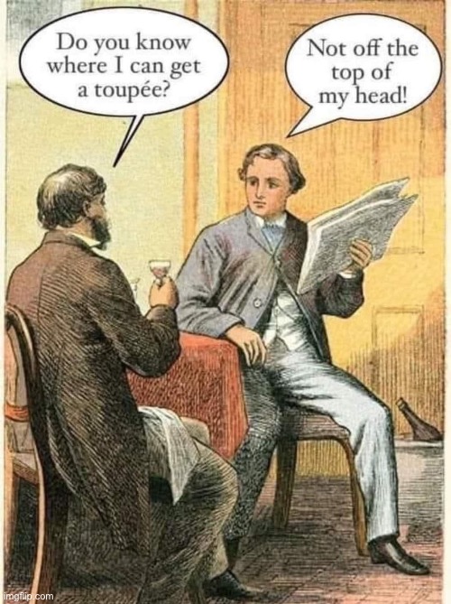 Toupe | image tagged in toupe,hair,bad pun | made w/ Imgflip meme maker