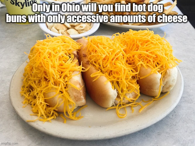 Get oihr if my h w f | Only in Ohio will you find hot dog buns with only accessive amounts of cheese | image tagged in brainrot | made w/ Imgflip meme maker