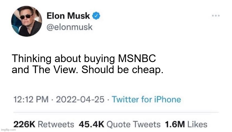 Thinking about buying MSNBC and The View. Should be cheap. | image tagged in elon musk buying company | made w/ Imgflip meme maker