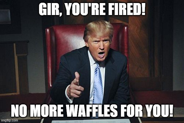 Gir got fired by trump xc | GIR, YOU'RE FIRED! NO MORE WAFFLES FOR YOU! | image tagged in donald trump you're fired,invader zim,gir | made w/ Imgflip meme maker