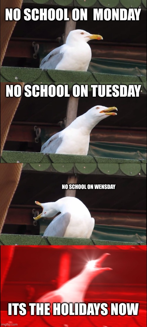 yeeaaaaaaaaaaaaaassssssssssssssssssssss | NO SCHOOL ON  MONDAY; NO SCHOOL ON TUESDAY; NO SCHOOL ON WENSDAY; ITS THE HOLIDAYS NOW | image tagged in memes,inhaling seagull | made w/ Imgflip meme maker