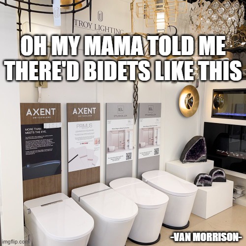 memes by Brad - I was told there'd bidets like these - humor - | OH MY MAMA TOLD ME THERE'D BIDETS LIKE THIS; -VAN MORRISON- | image tagged in funny,fun,play on words,bidet,humor,song lyrics | made w/ Imgflip meme maker