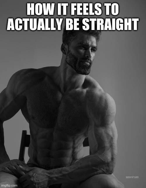 Giga Chad | HOW IT FEELS TO ACTUALLY BE STRAIGHT | image tagged in giga chad | made w/ Imgflip meme maker