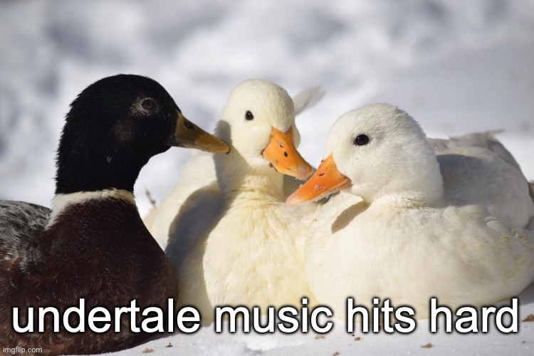 Dunkin Ducks | undertale music hits hard | image tagged in dunkin ducks | made w/ Imgflip meme maker