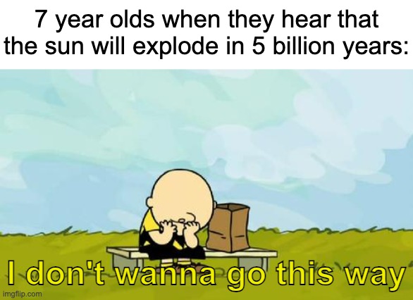 nooooooo | 7 year olds when they hear that the sun will explode in 5 billion years:; I don't wanna go this way | image tagged in depressed charlie brown | made w/ Imgflip meme maker