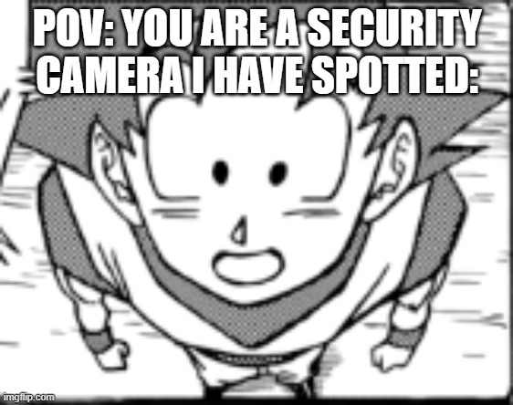 POV: YOU ARE A SECURITY CAMERA I HAVE SPOTTED: | image tagged in goku screen | made w/ Imgflip meme maker