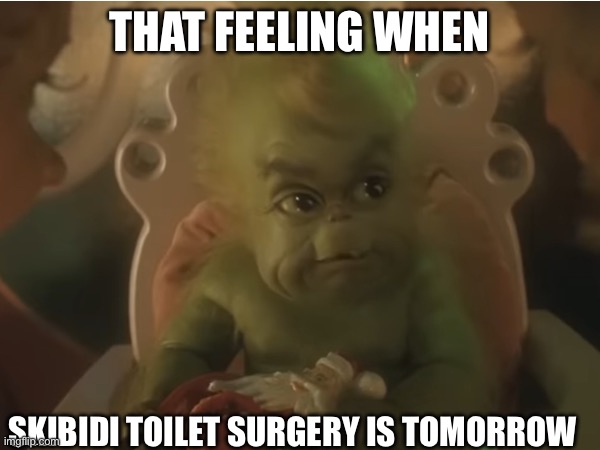 True | THAT FEELING WHEN; SKIBIDI TOILET SURGERY IS TOMORROW | image tagged in grinch,that feeling when | made w/ Imgflip meme maker