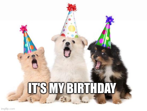 happy birthday puppies | IT'S MY BIRTHDAY | image tagged in happy birthday puppies,birthday,happy | made w/ Imgflip meme maker