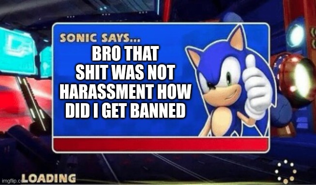 Sonic Says | BRO THAT SHIT WAS NOT HARASSMENT HOW DID I GET BANNED | image tagged in sonic says | made w/ Imgflip meme maker