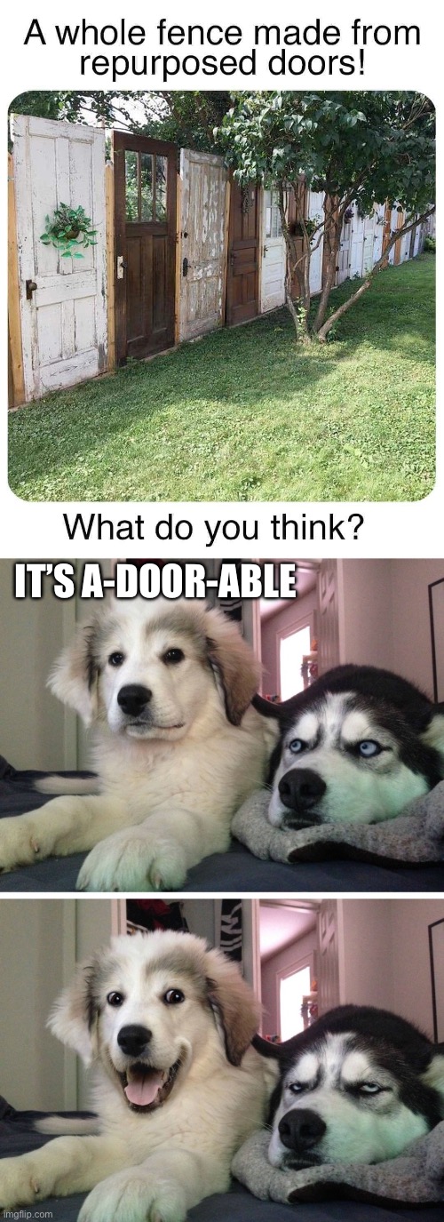 So cute | IT’S A-DOOR-ABLE | image tagged in bad pun dogs,cute,adorable,dad joke | made w/ Imgflip meme maker