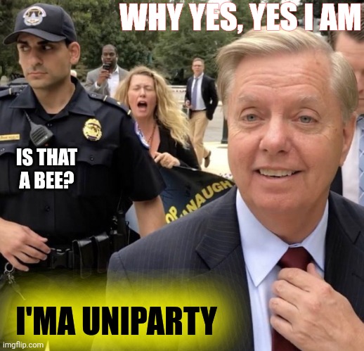 Flimsy Graham | WHY YES, YES I AM; IS THAT A BEE? I'MA UNIPARTY | image tagged in based lindsay graham | made w/ Imgflip meme maker