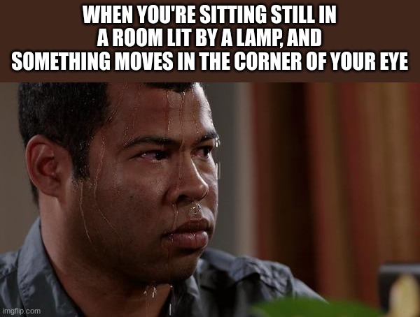 sweating bullets | WHEN YOU'RE SITTING STILL IN A ROOM LIT BY A LAMP, AND SOMETHING MOVES IN THE CORNER OF YOUR EYE | image tagged in sweating bullets | made w/ Imgflip meme maker