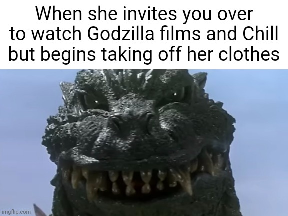 Godzilla and Chill Meme (Dark Humor) | When she invites you over to watch Godzilla films and Chill but begins taking off her clothes | image tagged in blank white template,godzilla,dark humor | made w/ Imgflip meme maker