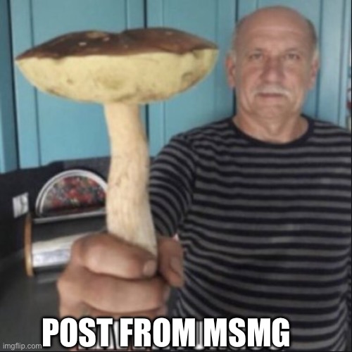 have a fungus | POST FROM MSMG | image tagged in have a fungus,thicc minion | made w/ Imgflip meme maker