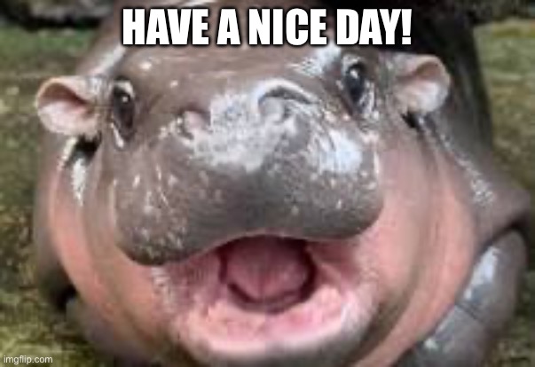 I mean it | HAVE A NICE DAY! | image tagged in cute,wholesome content | made w/ Imgflip meme maker