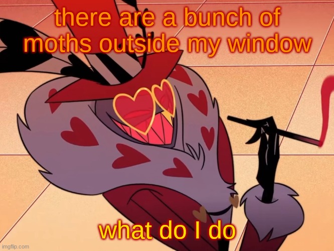 Valentino | there are a bunch of moths outside my window; what do I do | image tagged in valentino | made w/ Imgflip meme maker