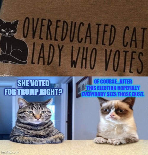 After This Election Hopefully Everybody Sees Those Exist | OF COURSE...AFTER THIS ELECTION HOPEFULLY EVERYBODY SEES THOSE EXIST. SHE VOTED FOR TRUMP,RIGHT? | image tagged in memes,politics,smart,cat lady,votes,grumpy cat | made w/ Imgflip meme maker