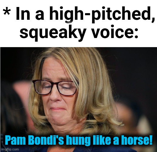 democrats: all lies, all the time! | * In a high-pitched, squeaky voice:; Pam Bondi's hung like a horse! | image tagged in christine blasey ford,lies,democrats,trump derangement syndrome,memes,pam bondi | made w/ Imgflip meme maker