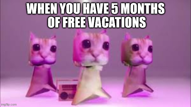 WHEN YOU HAVE 5 MONTHS
 OF FREE VACATIONS | image tagged in cat,el gato,funny cats,vacation | made w/ Imgflip meme maker